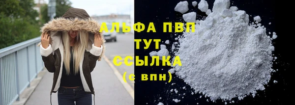 гашик Лабытнанги