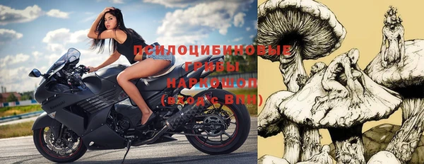 дурь Ладушкин
