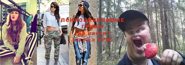 гашик Лабытнанги