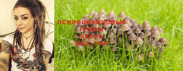 дурь Ладушкин